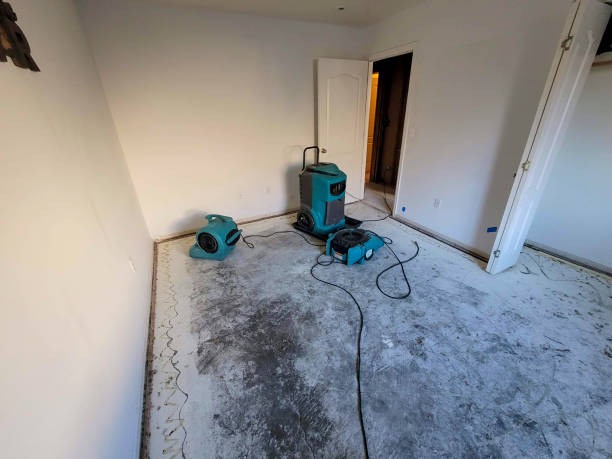  , LA Water damage restoration Pros