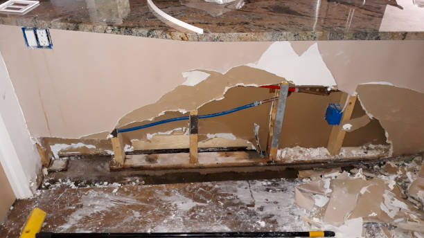 Best Water damage restoration near me  in , LA