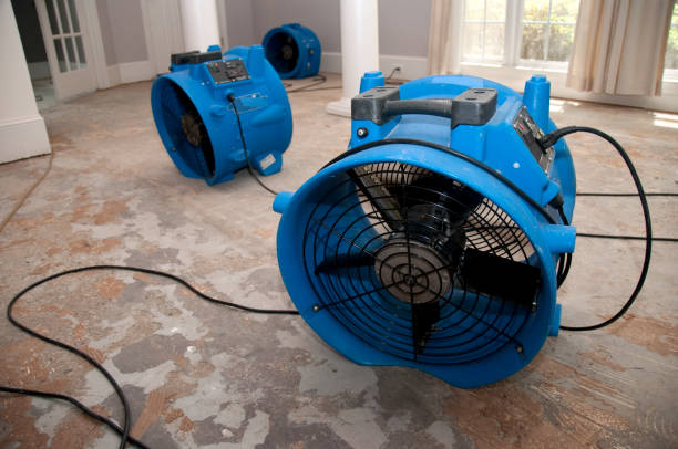 Best Carpet water damage restoration  in , LA
