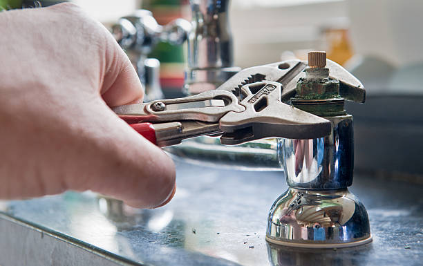 Best Mold removal after water damage  in , LA