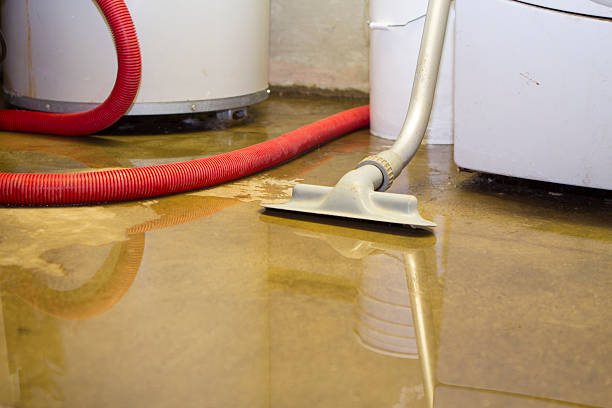 Best Water damage restoration mold remediation  in , LA