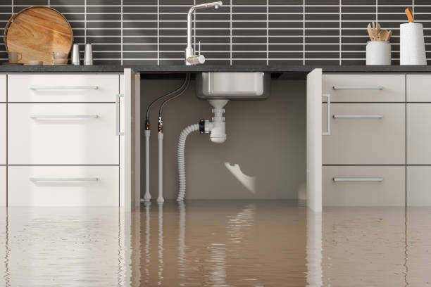 Best Sewage cleanup and water damage restoration  in , LA