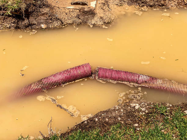 Best Flood restoration services  in , LA